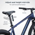 Schwinn Axum DP Mountain Bike with mechanical seat post, Large 19 inch mens style frame, blue