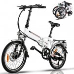 Ayner Folding Electric Bike, 20" Foldable Ebike with 36V 8AH Removable Battery,7-Speed Electric Bicycle,Dual Disc Brakes for Adults Men Women