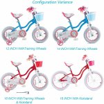 Royalbaby Girls Kids Bike Star girl 16 In. Bicycle Basket Training Wheels Kickstand Blue Child's Cycle